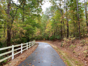 Paved,North,Carolina,Nature,Trail,In,Autumn,(late,October)